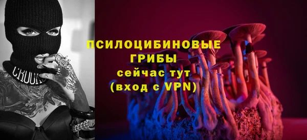 дурь Алзамай