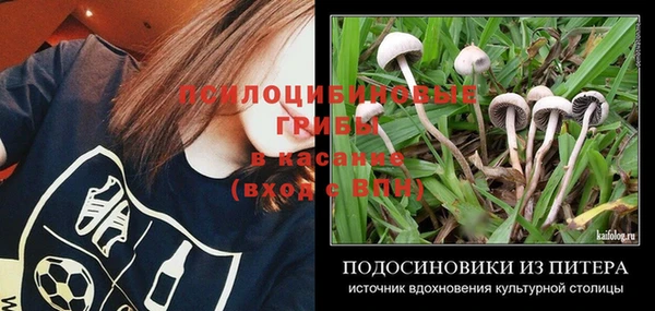 прущий лед Арсеньев