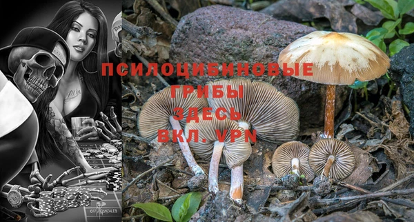 MESCALINE Аркадак
