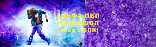 СК Алексин