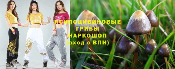 СК Алексин