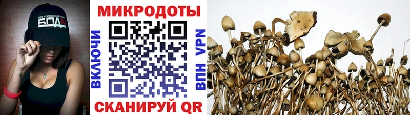 Галлюциногенные грибы ЛСД  Кологрив 